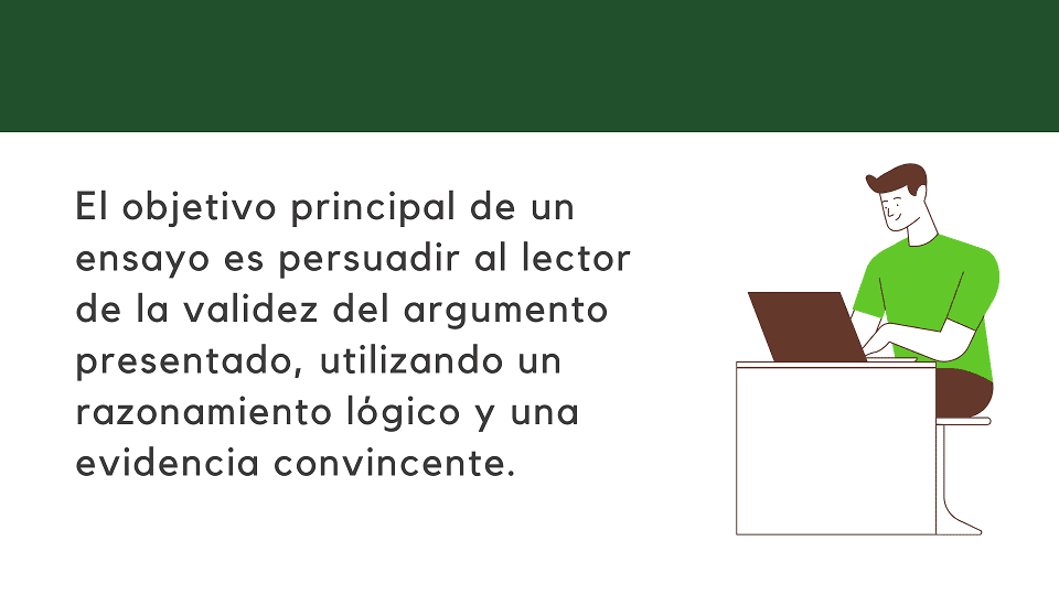 como hacer un ensayo universitario