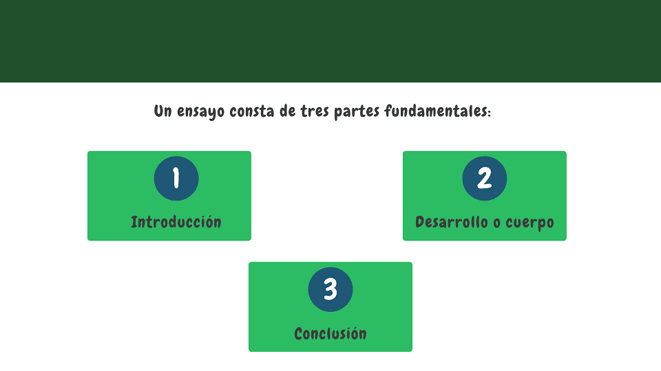 partes de un ensayo