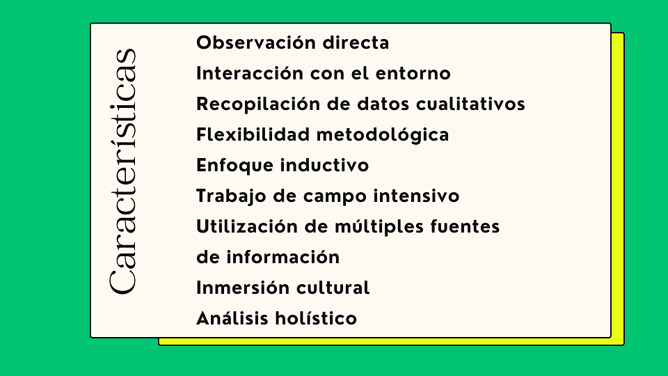 pasos de la investigación de campo